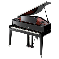 Hybrid Piano